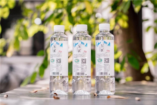 王中王一肖中汁一手，深度解讀背后的故事與秘密，揭秘王中王一肖背后的故事與秘密，一手深度解讀