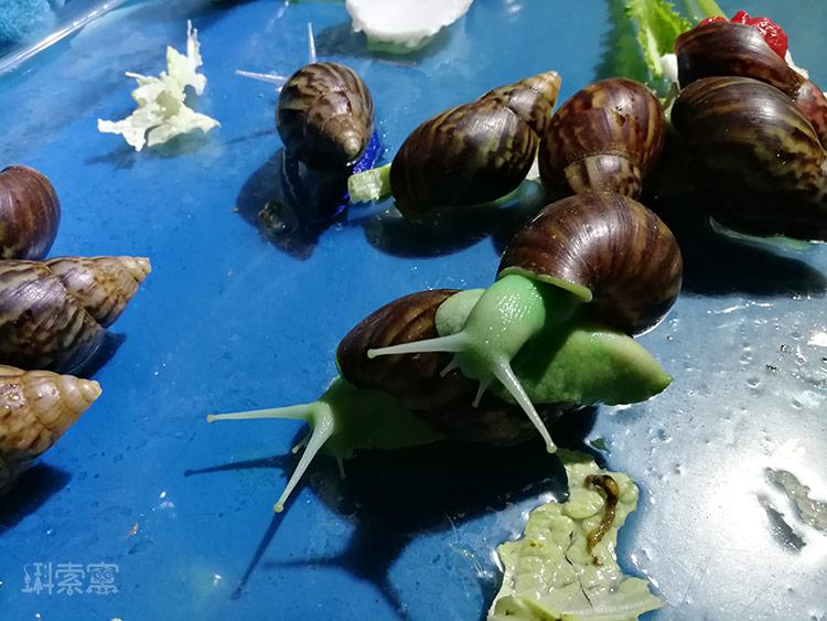 合肥海洋館門票價(jià)格詳解，合肥海洋館門票價(jià)格全面解析