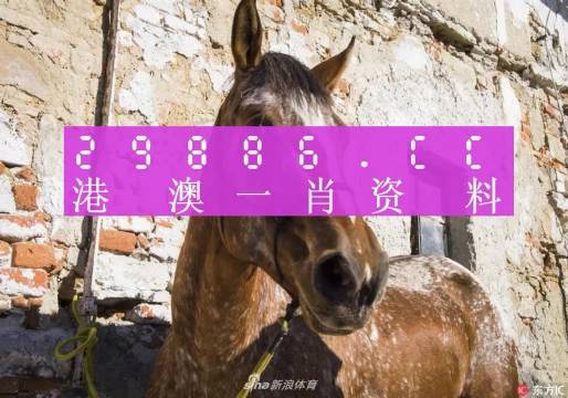 王中王資料一肖正特馬，深度解析與SEO優(yōu)化策略，王中王資料一肖正特馬深度解析與SEO優(yōu)化策略指南
