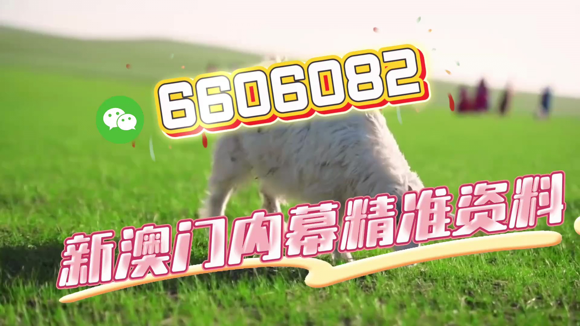 新澳門今晚必開一肖一特，探索澳門博彩文化的魅力與特色，澳門博彩文化魅力揭秘，今晚必開一肖一特探索