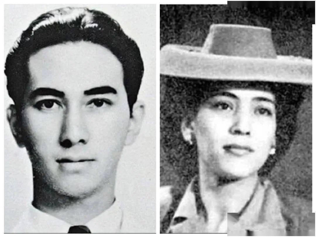 澳門廣東二八站最新版，全面解析與SEO優(yōu)化策略，澳門廣東二八站最新版解析與SEO優(yōu)化策略指南