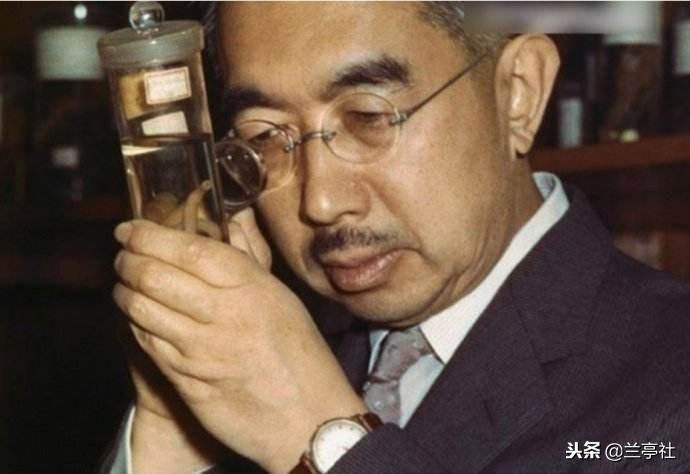 4949資料正版免費(fèi)大全——您所需的一切，一網(wǎng)打盡，4949正版資料大全，一站式滿足您的需求