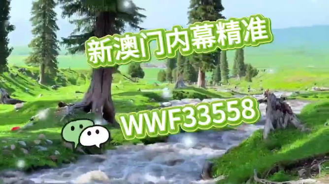 王中王王中王一肖一馬，探尋背后的故事與奧秘，探尋王中王王中王一肖一馬背后的故事與奧秘