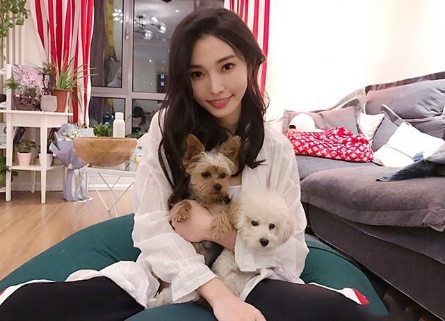 新澳門出彩綜合走勢(shì)，探索與解讀，新澳門出彩綜合走勢(shì)深度探索與解讀