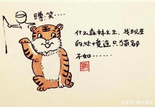 一肖不中賠多少倍，深度解析與策略建議，一肖不中賠倍深度解析及策略建議