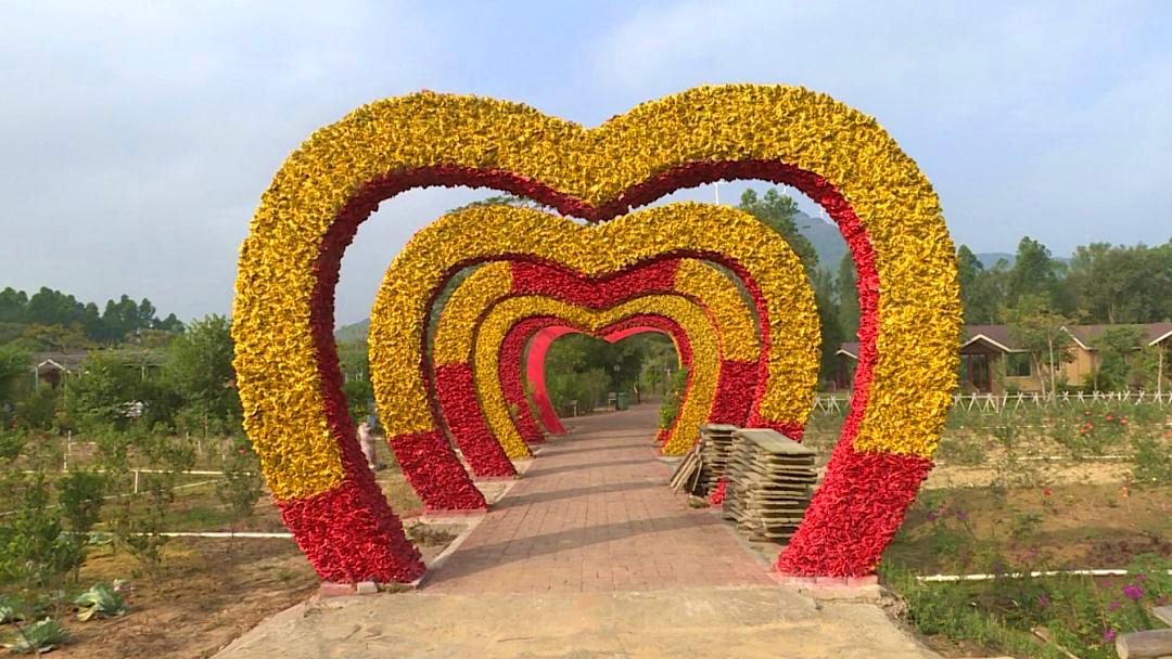 海陵島必去景點全攻略，海陵島必游景點全攻略