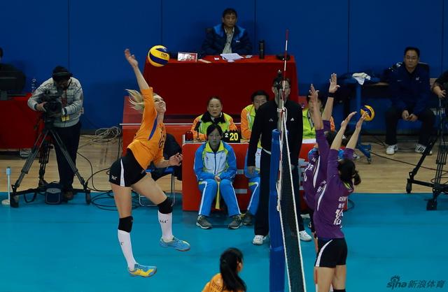 王中王三肖選一肖，揭秘背后的秘密與策略，揭秘王中王三肖選一肖背后的秘密與策略