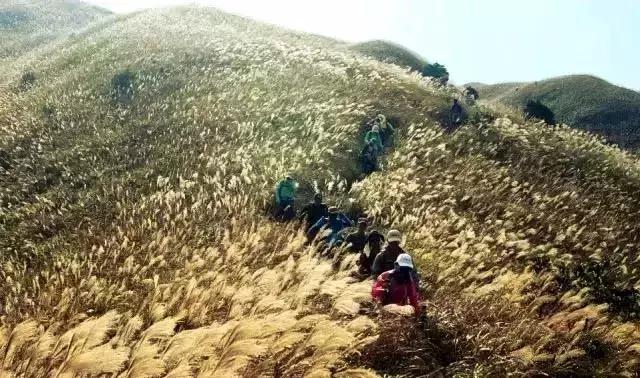 深圳周邊自駕游，探索周邊的美景與風(fēng)情，深圳周邊自駕游，探尋周邊美景與風(fēng)情之旅