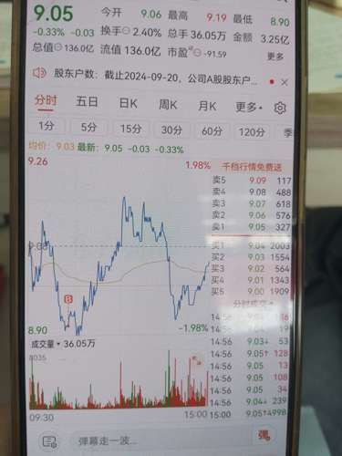 關(guān)于數(shù)字代碼600435的SEO文章，數(shù)字代碼600435，深度解析與SEO優(yōu)化策略