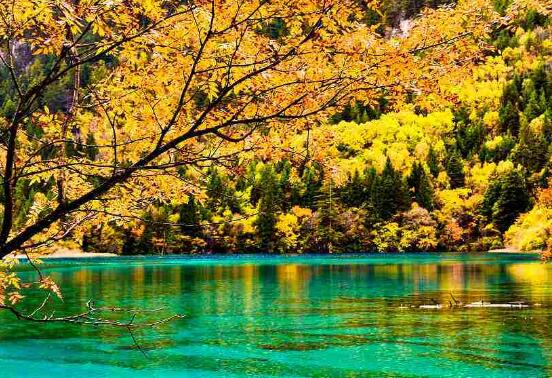 九寨溝住宿攻略，住宿哪里最方便？，九寨溝住宿攻略，探尋最便捷住宿地點(diǎn)