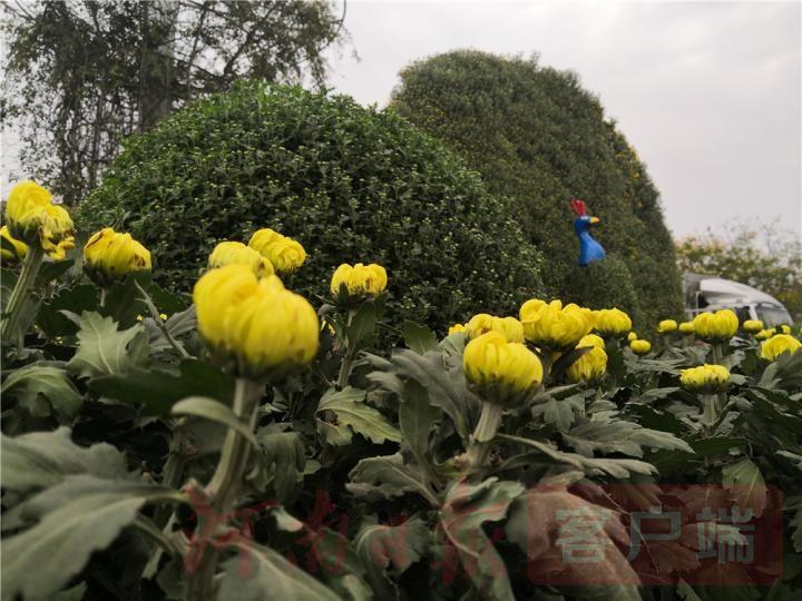 新奧最精準(zhǔn)免費(fèi)大全最新，全方位解析與深度探索，新奧最精準(zhǔn)免費(fèi)大全最新，全方位解析與深度探索指南