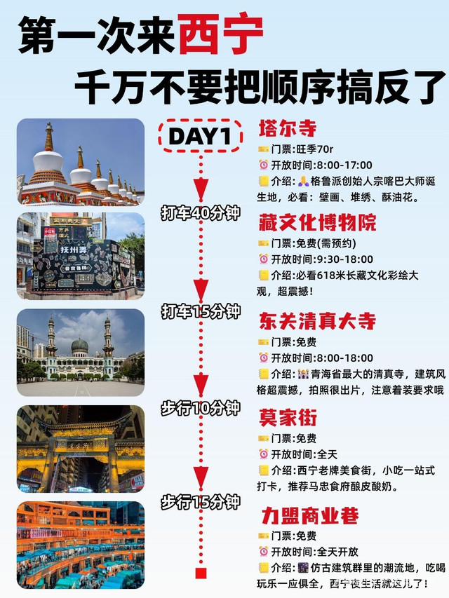 西寧旅游攻略一日游，探索高原魅力城市，西寧一日游攻略，探索高原魅力城市的精彩之旅