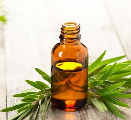 茶樹精油的功效與作用，深入了解茶樹精油的多元價(jià)值，茶樹精油多元價(jià)值揭秘，功效與作用詳解