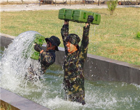 中國十五大特戰(zhàn)旅排名解析，中國十五大特戰(zhàn)旅排名深度解析