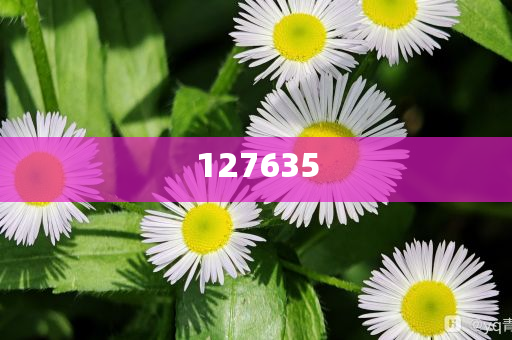 揭秘7777888888精準(zhǔn)新傳真，一網(wǎng)打盡SEO優(yōu)化秘籍，揭秘精準(zhǔn)新傳真7777888888，一網(wǎng)打盡SEO優(yōu)化秘籍全攻略