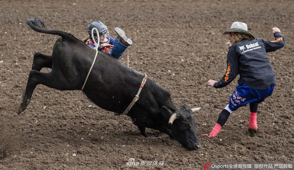 揭秘白小姐四肖選一肖劉伯溫，傳奇背后的秘密，揭秘傳奇人物白小姐與劉伯溫，四肖選一肖背后的秘密