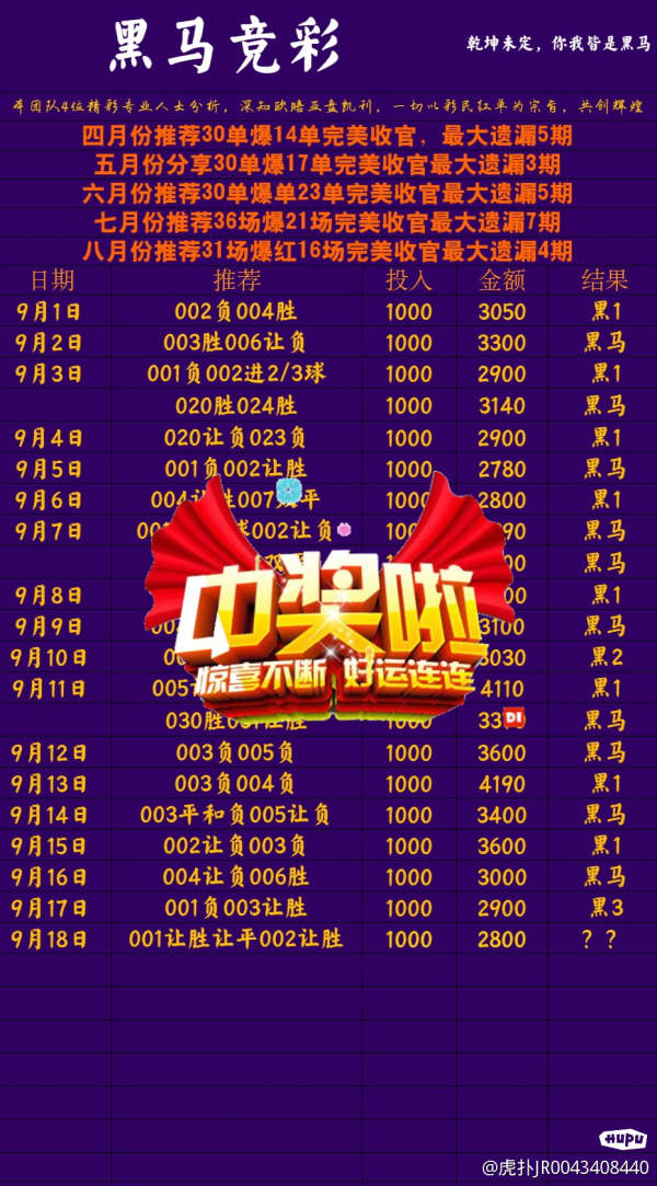 王中王黑馬堂一肖中特，探索神秘與傳奇的世界，王中王黑馬堂，探索神秘傳奇世界的奧秘與一肖中特之旅