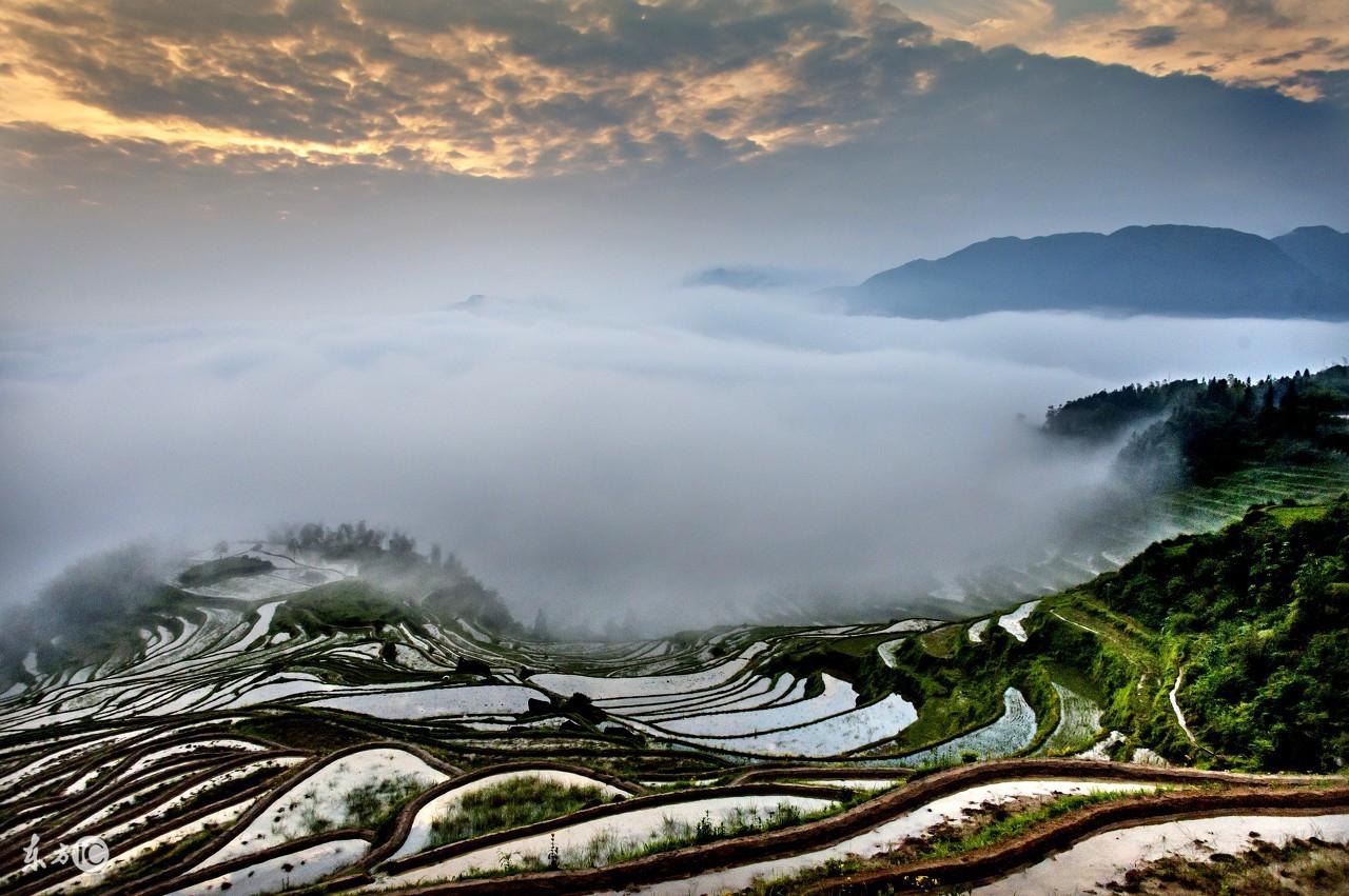 浙江東方股票股吧深度解析，浙江東方股票股吧全面深度解析