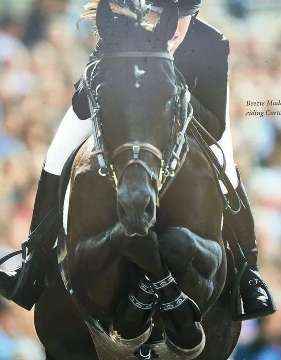 澳門六彩資料開獎結果，探索與解析，澳門六彩開獎結果解析與探索