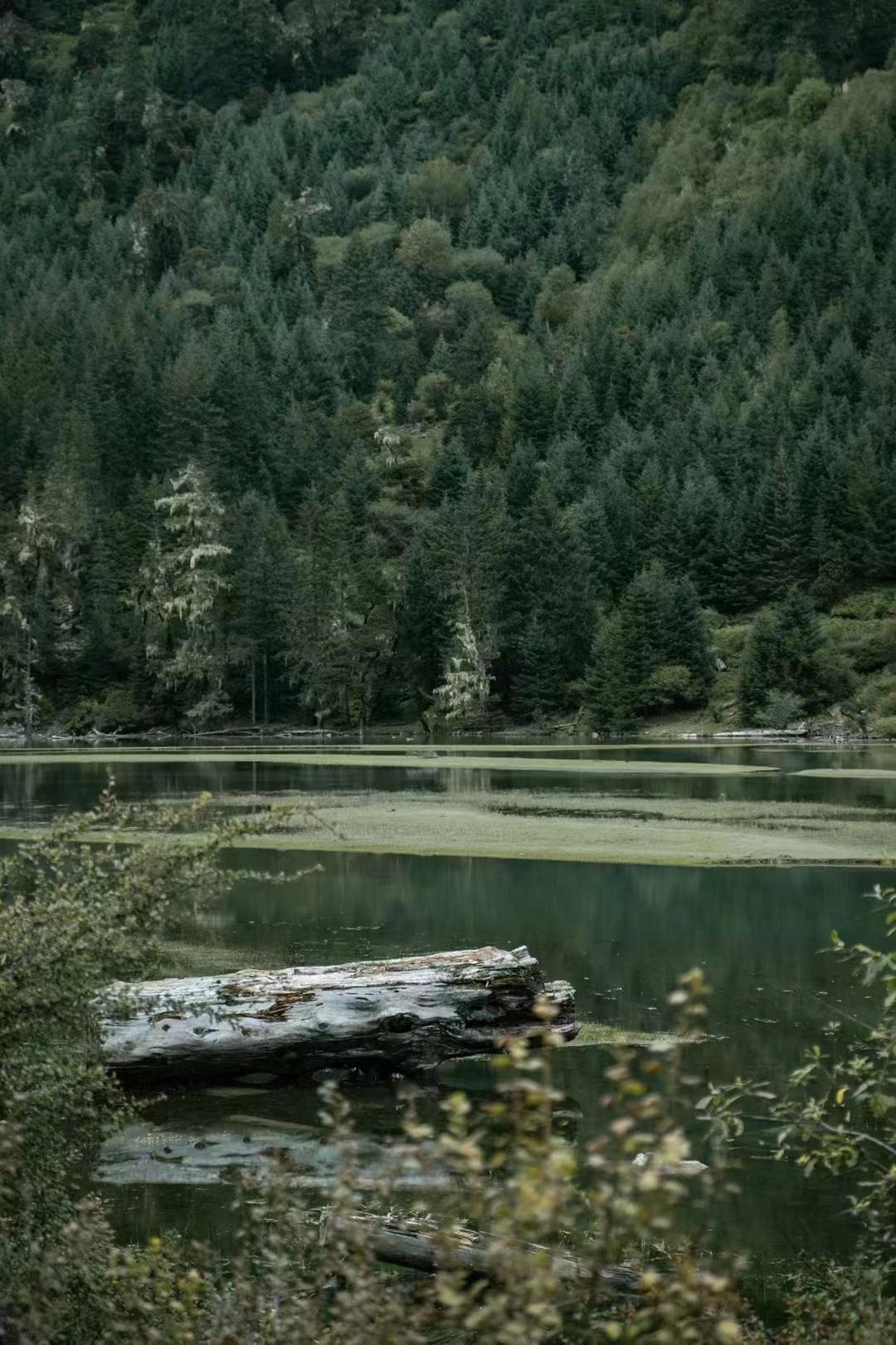 現(xiàn)在適合旅游的地方，探索未知的美景與文化魅力，探索未知美景，領(lǐng)略文化魅力，當(dāng)下熱門旅游目的地推薦