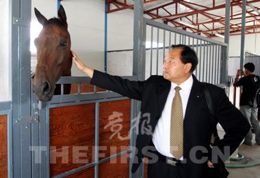 新奧門(mén)一肖一馬圖片資料，探索與揭秘，新奧門(mén)一肖一馬圖片資料，探索與揭秘其神秘面紗