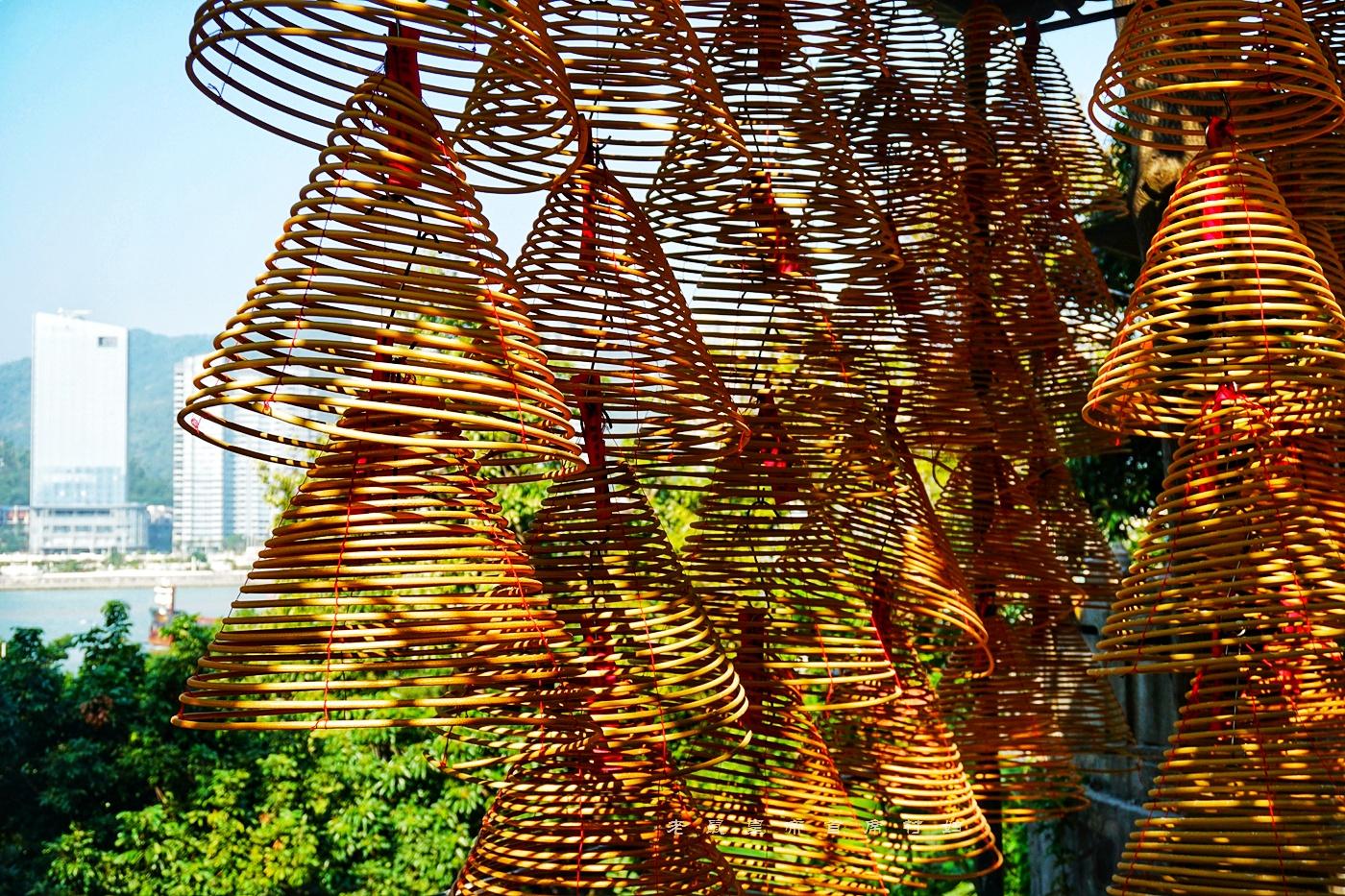 澳門(mén)天天免費(fèi)精準(zhǔn)大全——探索澳門(mén)的無(wú)盡魅力，澳門(mén)無(wú)盡魅力探索大全，天天免費(fèi)精準(zhǔn)指南