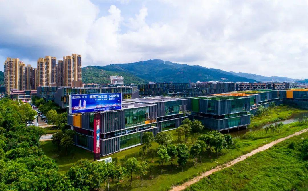 新澳門最精準(zhǔn)正最精準(zhǔn)查詢，探索澳門的魅力與精準(zhǔn)信息檢索藝術(shù)，澳門魅力揭秘，精準(zhǔn)查詢與資訊檢索的藝術(shù)