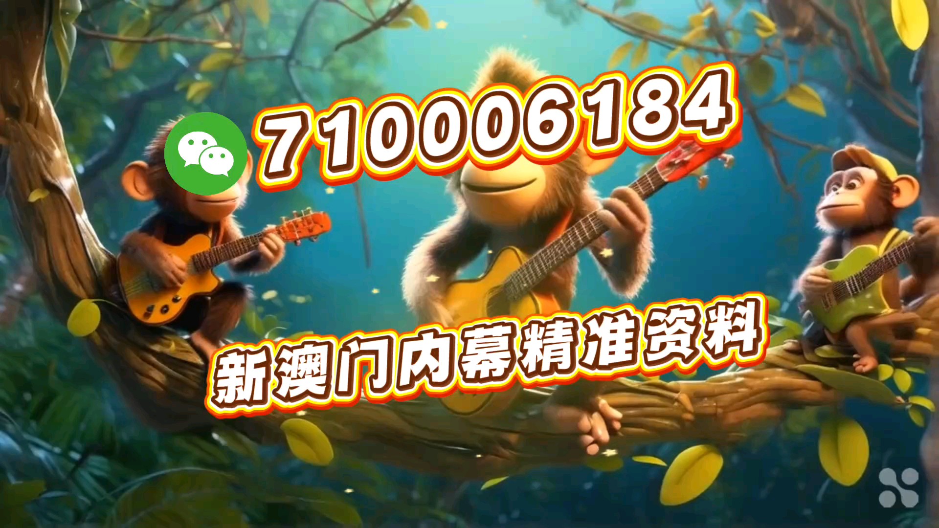 今晚澳門特馬必開一肖——深度解析與預(yù)測，澳門今晚特馬必開一肖深度預(yù)測與解析