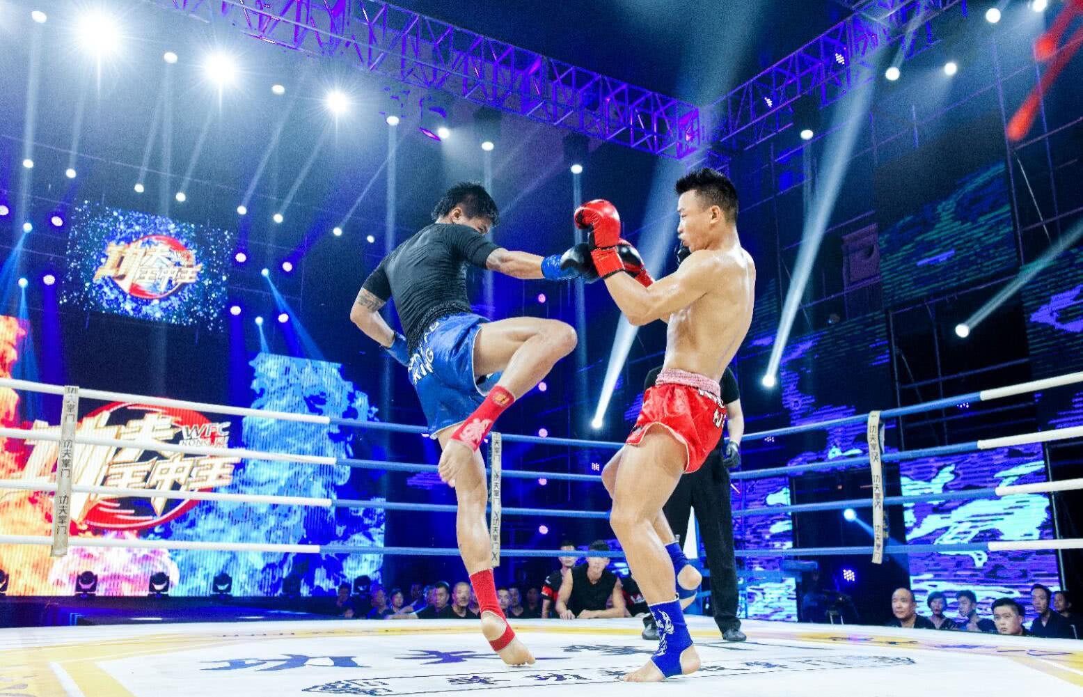 王中王今晚一肖開(kāi)獎(jiǎng)結(jié)果——深度分析與預(yù)測(cè)，王中王今晚一肖開(kāi)獎(jiǎng)結(jié)果深度解析與預(yù)測(cè)報(bào)告