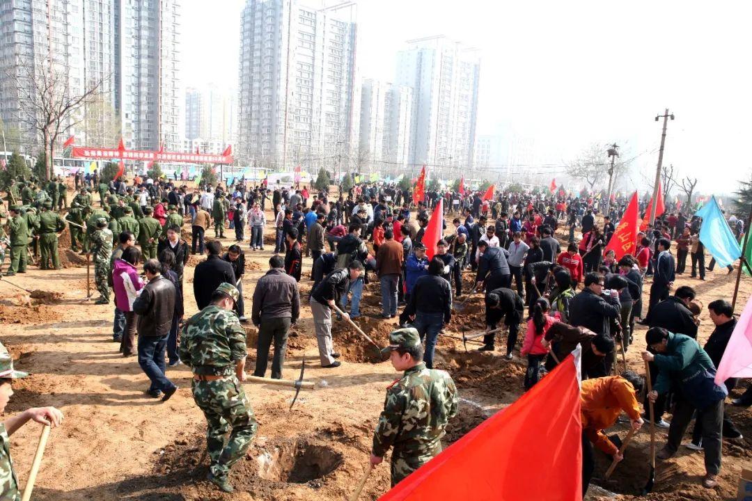 百望山森林公園，自然之美盡收眼底，百望山森林公園，自然之美的全景展現