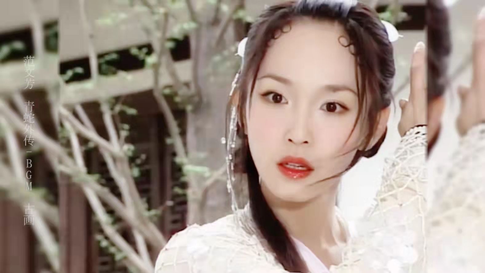 白小姐王中王何仙姑一肖，神秘傳說(shuō)與SEO解讀，神秘傳說(shuō)與SEO解讀，白小姐王中王何仙姑一肖探秘