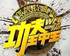 一肖特王中王，揭秘背后的SEO秘密，揭秘一肖特王中王的SEO秘密策略