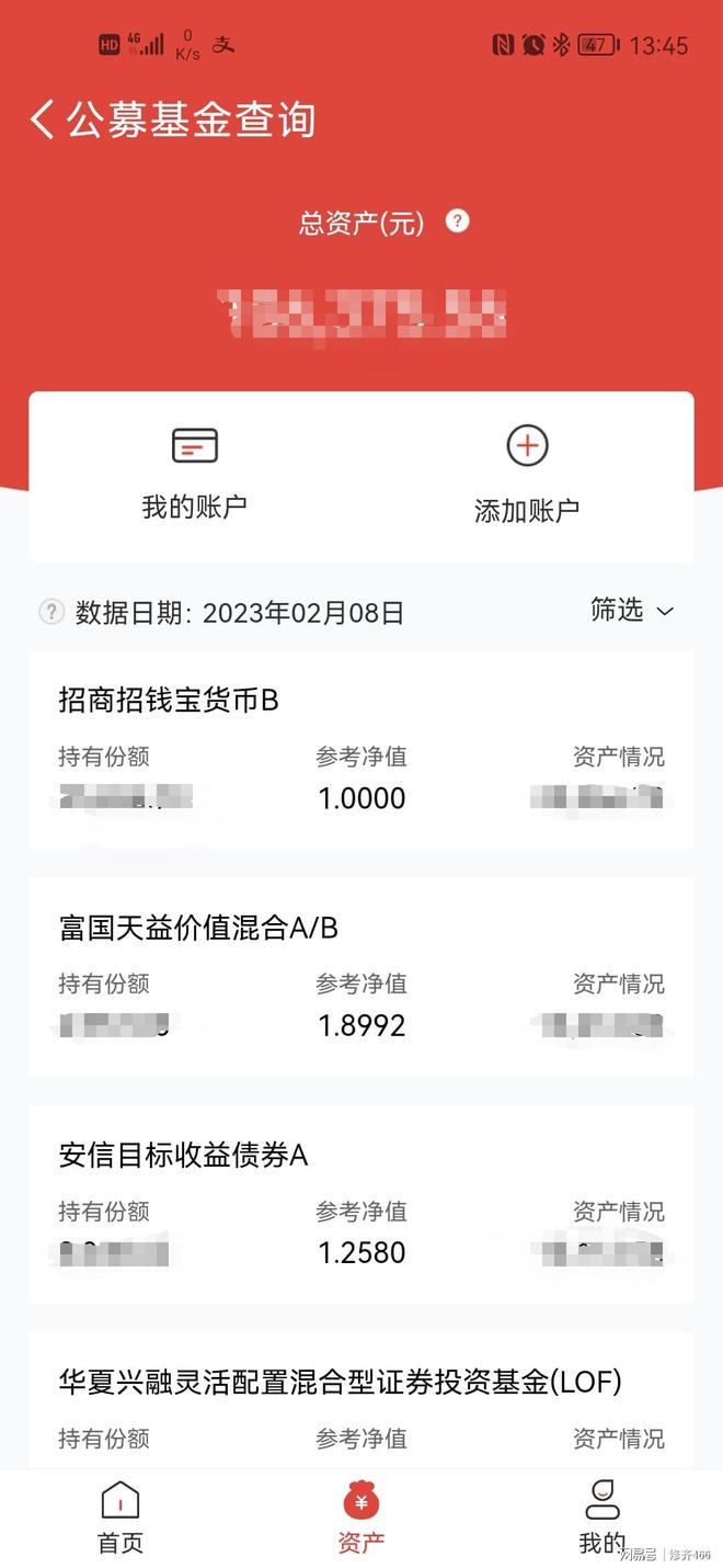 如何查詢個(gè)人名下全部基金，詳細(xì)步驟與注意事項(xiàng)，個(gè)人名下全部基金查詢攻略，步驟與注意事項(xiàng)詳解