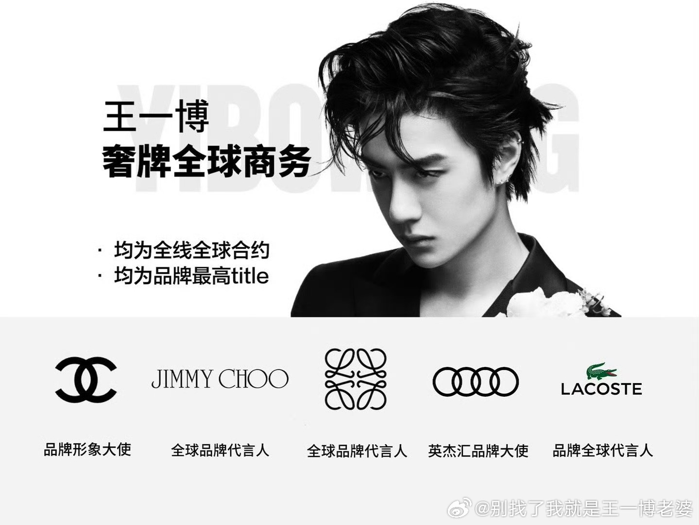 ZO19王中王一肖中特，解析背后的秘密與趨勢(shì)，ZO19王中王與肖中特，揭秘背后的秘密與趨勢(shì)發(fā)展