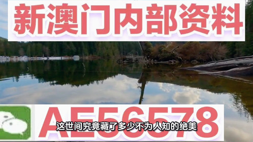 最新澳門資訊，探索2025新澳門精準(zhǔn)免費大全，探索澳門未來，揭秘澳門資訊與精準(zhǔn)免費指南（2025年最新更新）
