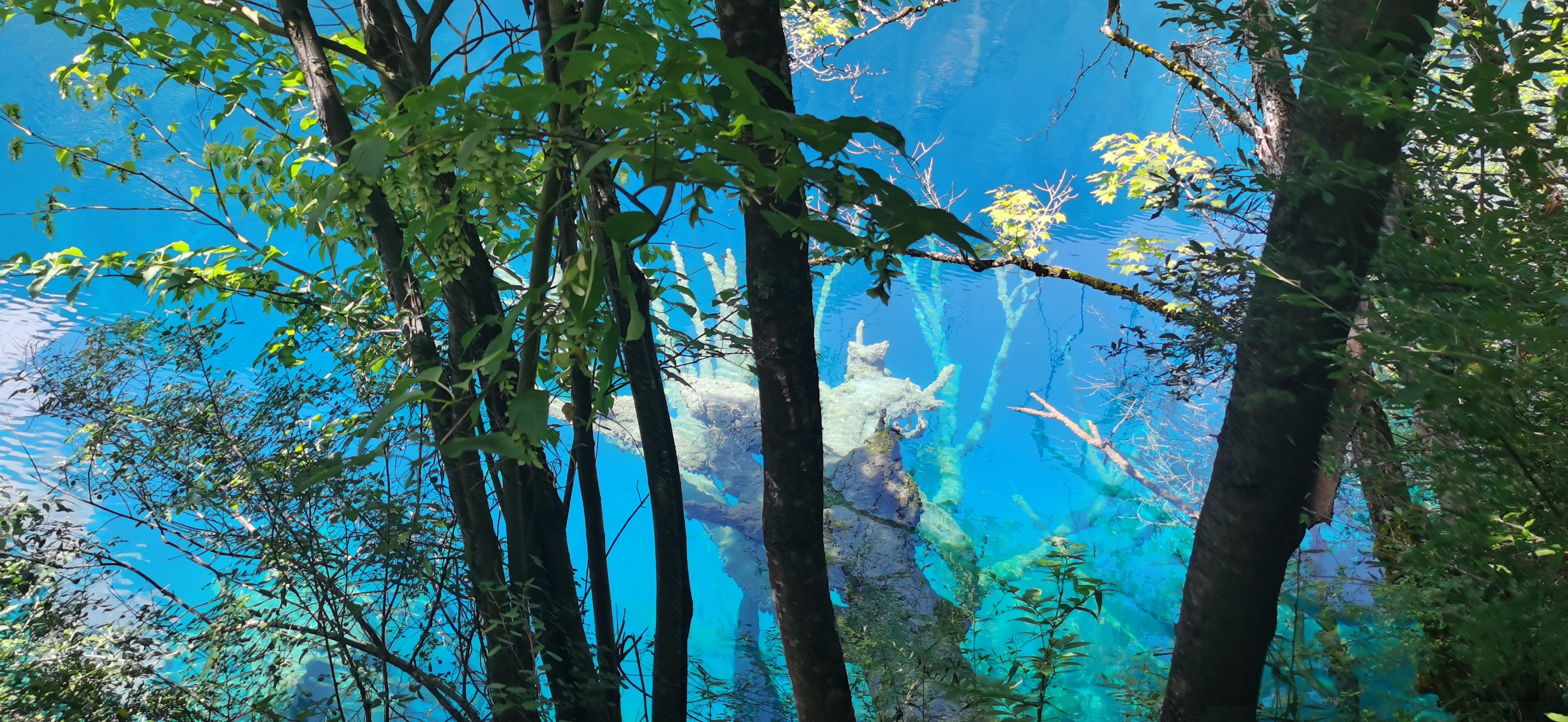 如何前往美麗的九寨溝旅游，詳細(xì)路線指南，九寨溝旅游詳細(xì)路線指南，如何前往美麗的九寨溝