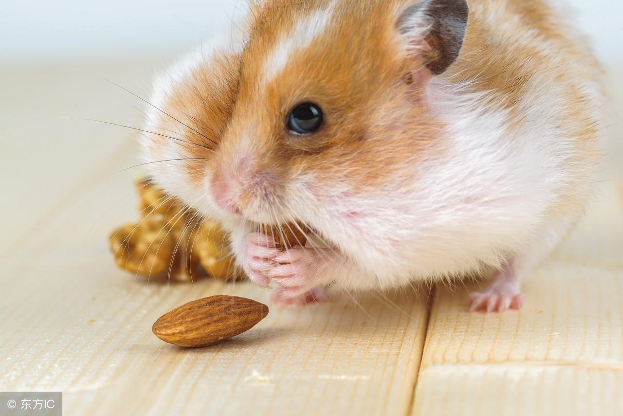 中國(guó)鐵物股票，投資潛力與市場(chǎng)前景分析，中國(guó)鐵物股票投資潛力與市場(chǎng)前景深度解析